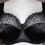 Black sheer bra with black lace