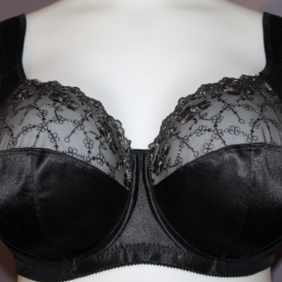 Black sheer bra with black lace