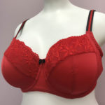 Red bra with red embroidery